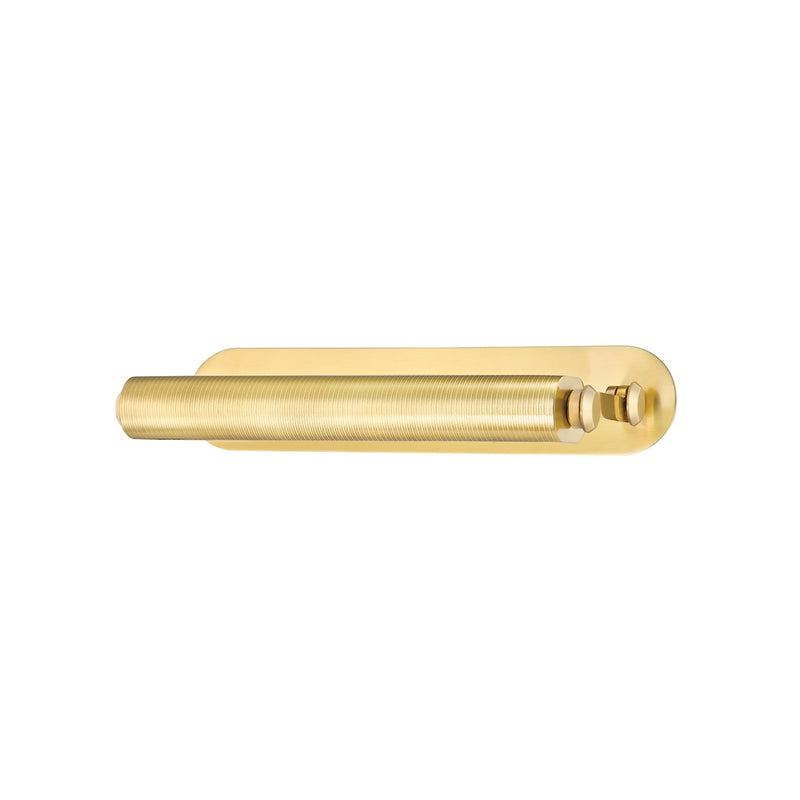 Hudson Valley 6117-AGB LED Picture Light, Aged Brass