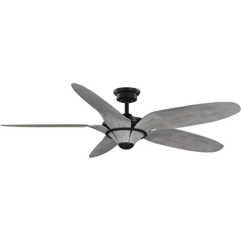 Progress Lighting P250073-182 60" Ceiling Fan, Flat Black