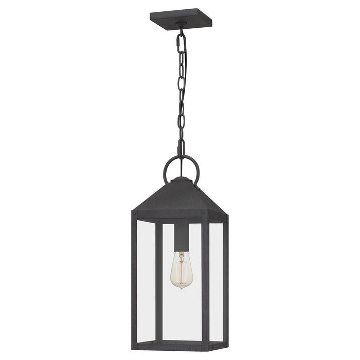 Quoizel TPE1508MB One Light Mini Pendant, Mottled Black