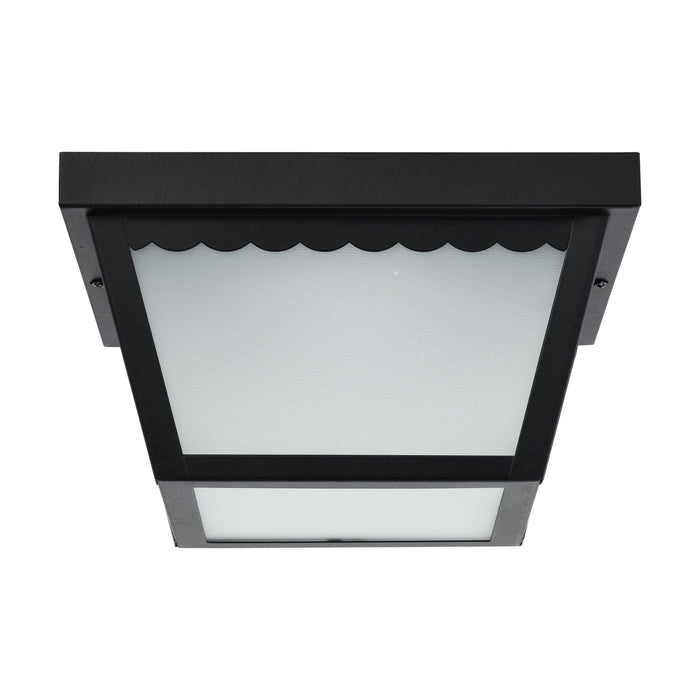 Nuvo Lighting 62-1572 LED Flush Mount, Black