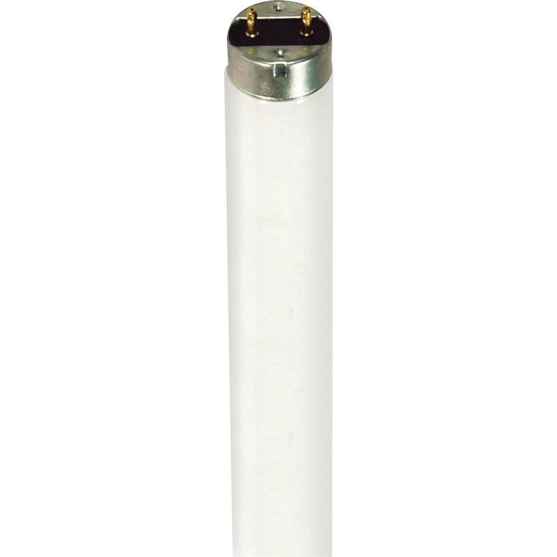 Satco S7633 Light Bulb, Frost