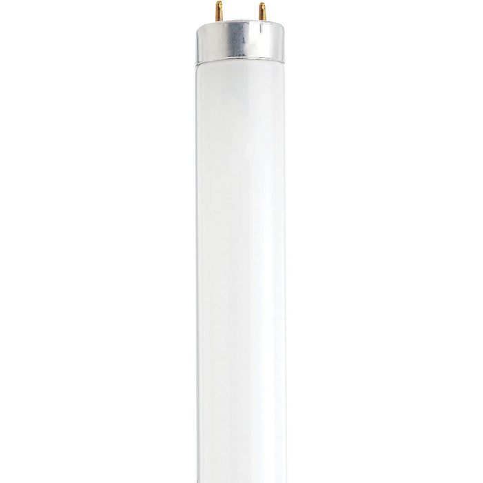 Satco S7920 Light Bulb, Frost