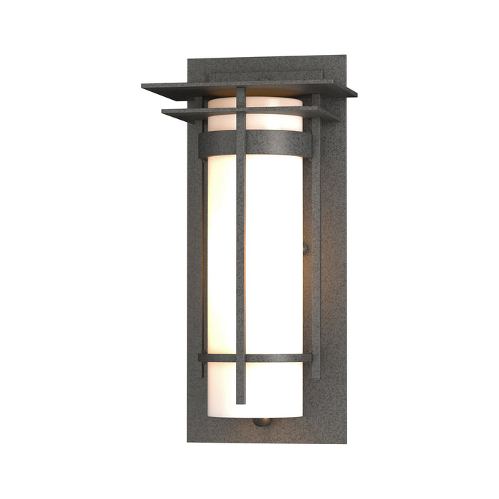Hubbardton Forge 305992-SKT-20-GG0066 One Light Outdoor Wall Sconce, Coastal Natural Iron