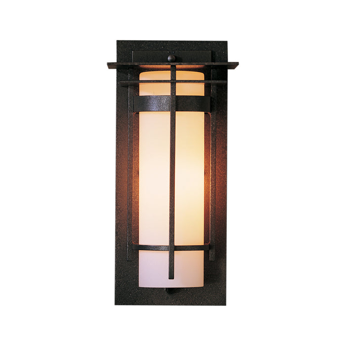Hubbardton Forge 305992-SKT-20-GG0066 One Light Outdoor Wall Sconce, Coastal Natural Iron