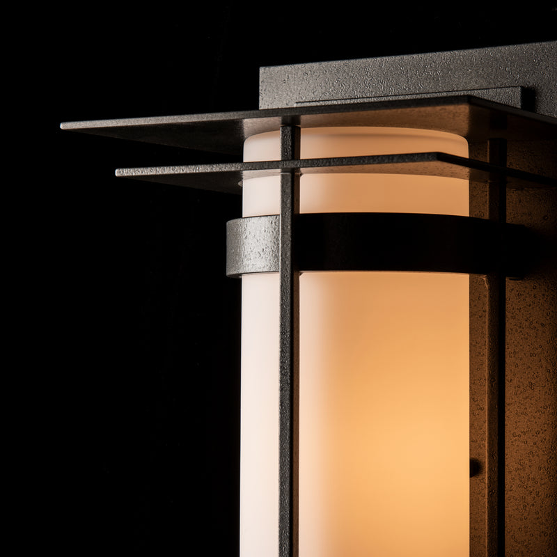 Hubbardton Forge 305993-SKT-20-GG0034 One Light Outdoor Wall Sconce, Coastal Natural Iron