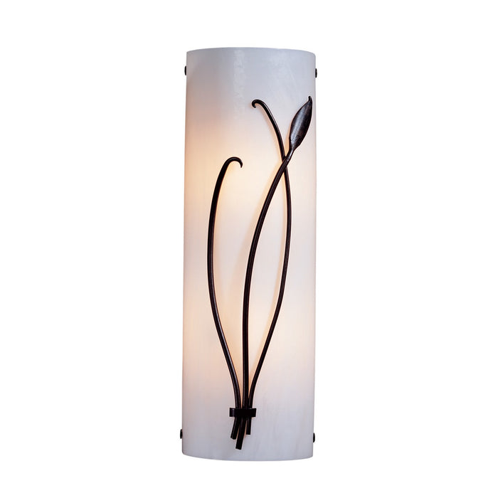 Hubbardton Forge 205770-SKT-RGT-07-BB0411 Two Light Wall Sconce, Dark Smoke