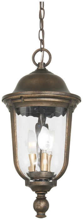 Minka-Lavery 73246-748 Three Light Outdoor Chain Hung, Tauira Bronze And Alder Silver