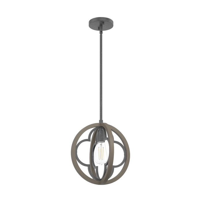 Hunter 19093 One Light Pendant, French Oak