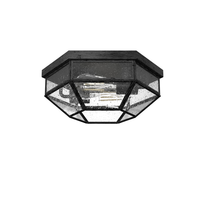 Hunter 19115 Two Light Flush Mount, Rustic Iron