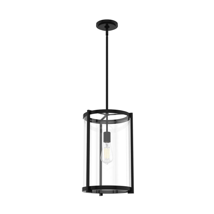 Hunter 19123 One Light Pendant, Matte Black