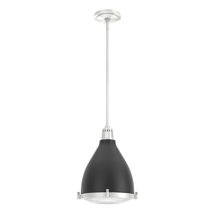 Hunter 19218 One Light Pendant, Matte Black