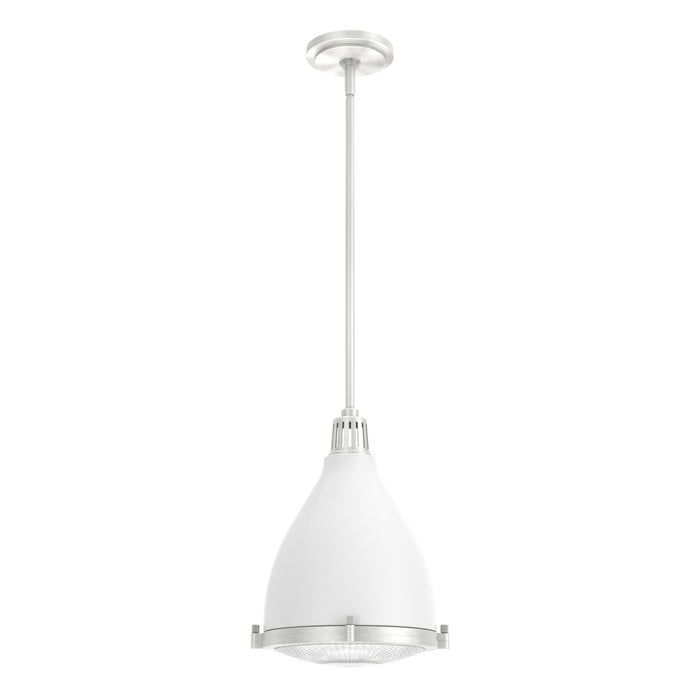 Hunter 19219 One Light Pendant, Fresh White