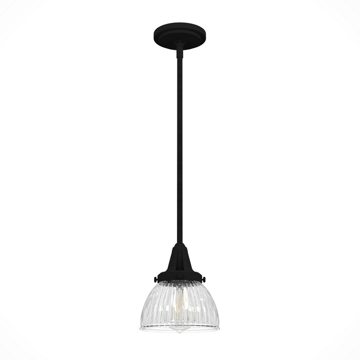 Hunter 19229 One Light Mini Pendant, Natural Black Iron