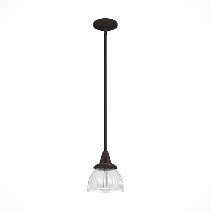 Hunter 19230 One Light Mini Pendant, Onyx Bengal