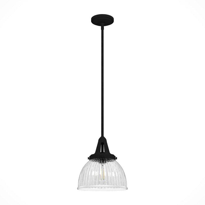 Hunter 19247 One Light Pendant, Natural Black Iron