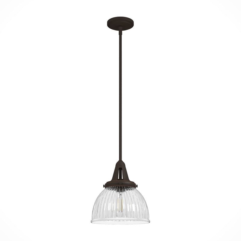 Hunter 19248 One Light Pendant, Onyx Bengal