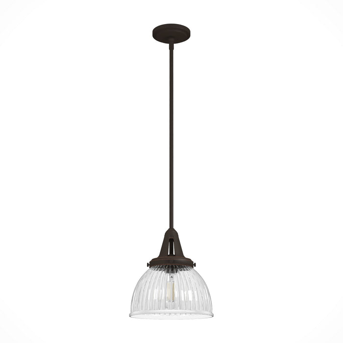 Hunter 19248 One Light Pendant, Onyx Bengal