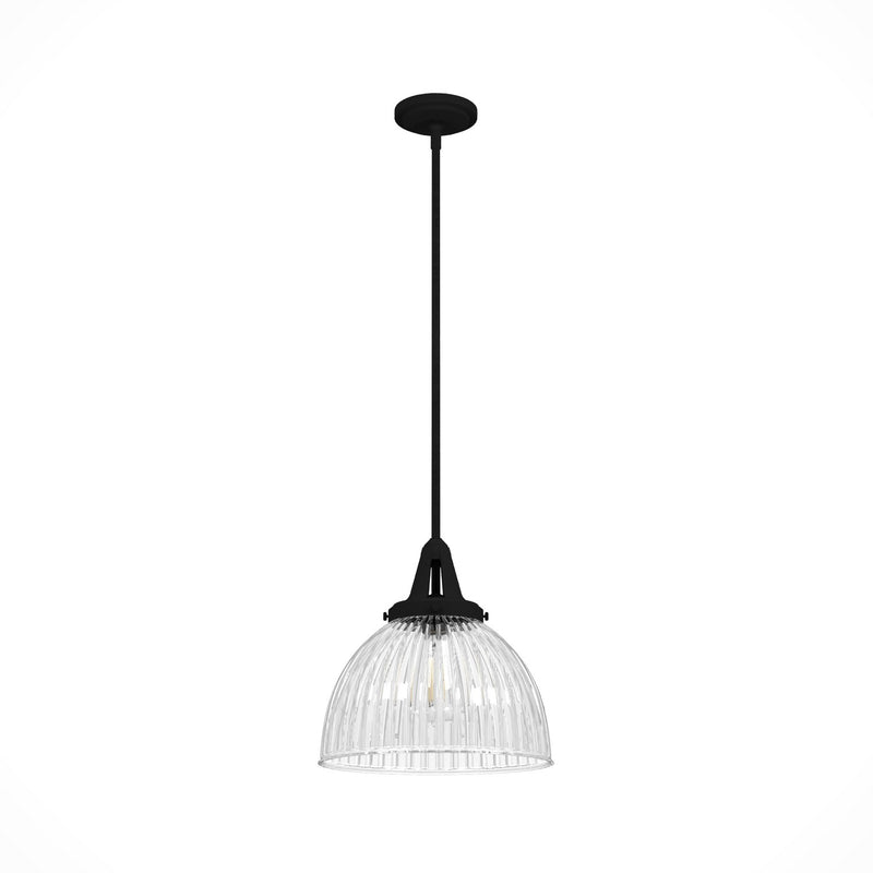 Hunter 19249 One Light Pendant, Natural Black Iron