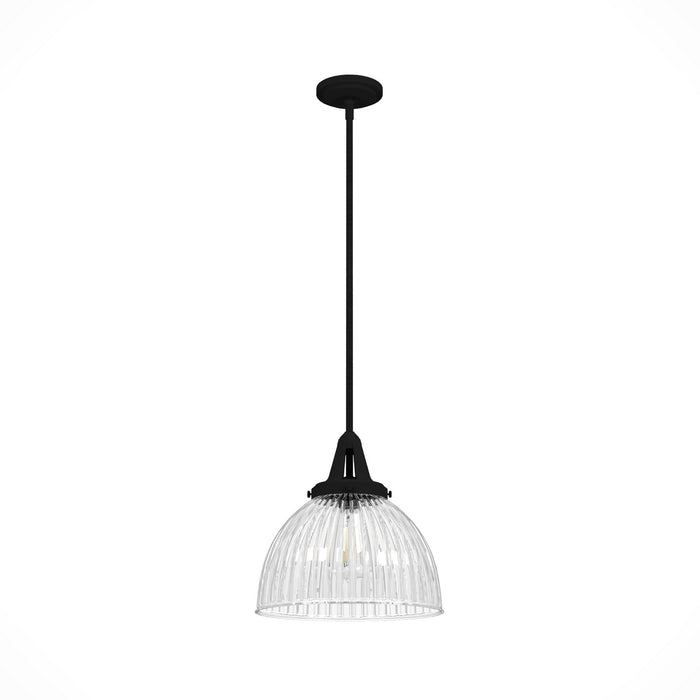 Hunter 19249 One Light Pendant, Natural Black Iron