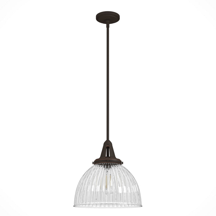 Hunter 19250 One Light Pendant, Onyx Bengal