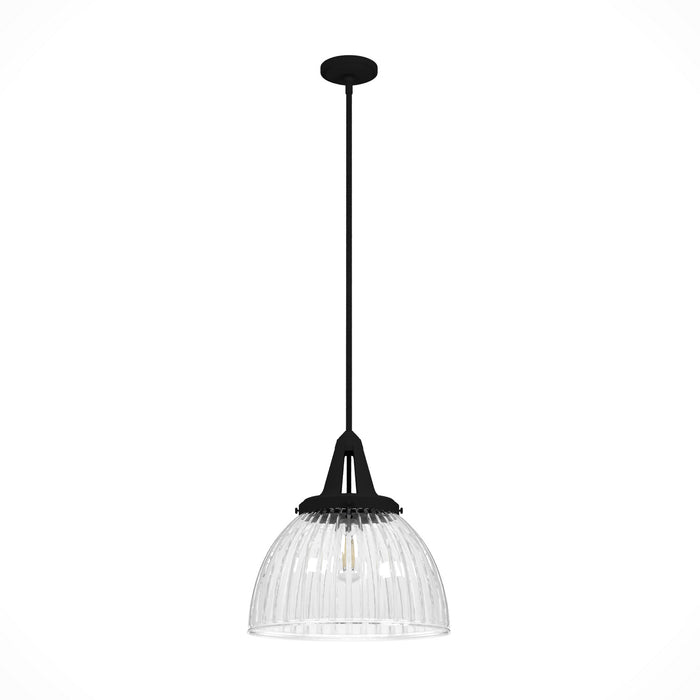 Hunter 19251 One Light Pendant, Natural Black Iron