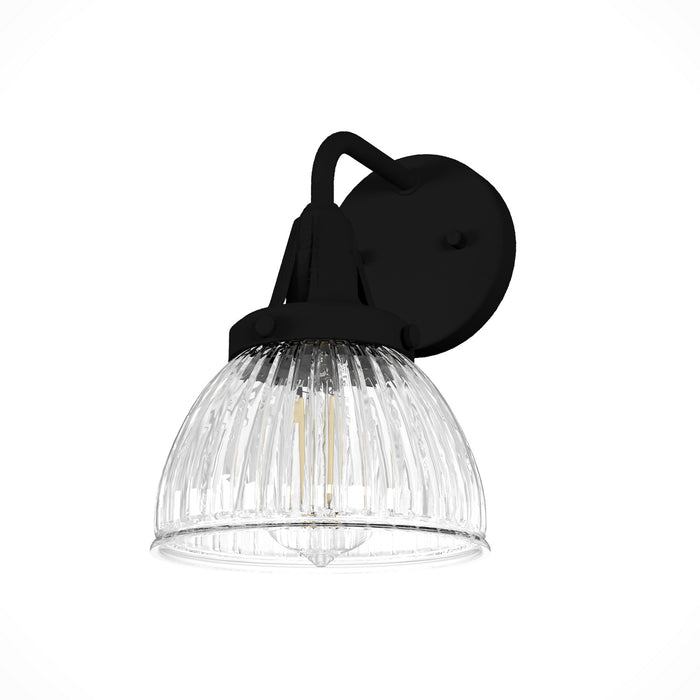 Hunter 19253 One Light Wall Sconce, Natural Black Iron