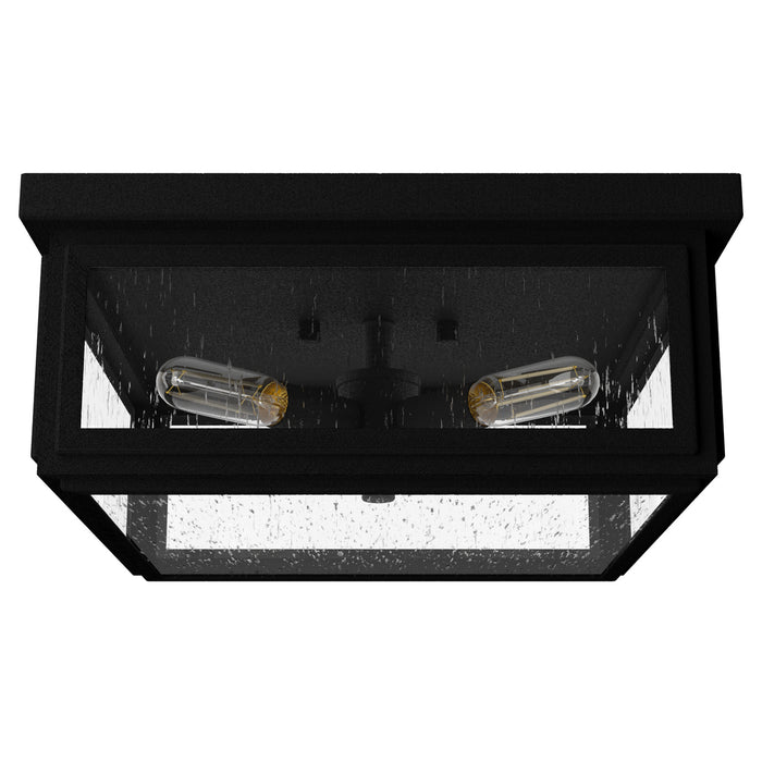 Hunter 19269 Four Light Flush Mount, Natural Black Iron