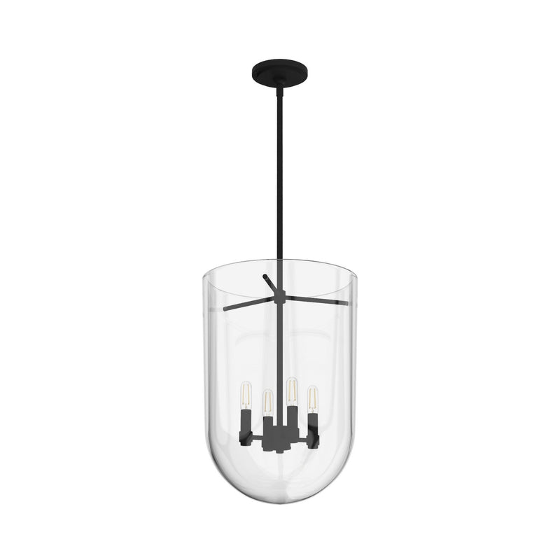 Hunter 19320 Four Light Pendant, Natural Black Iron