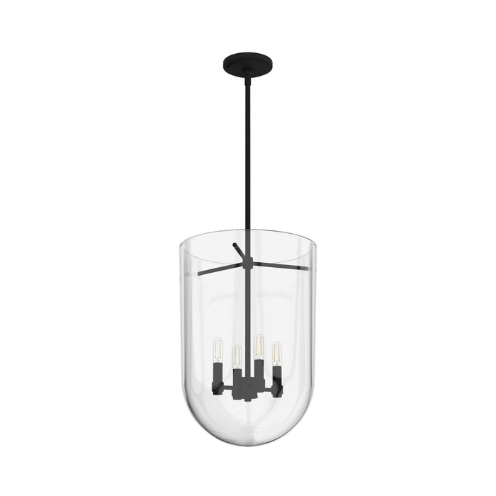 Hunter 19320 Four Light Pendant, Natural Black Iron