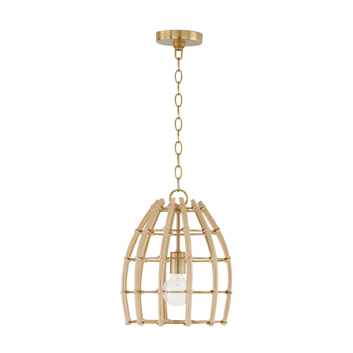 Capital Lighting 344111MA One Light Pendant, Matte Brass
