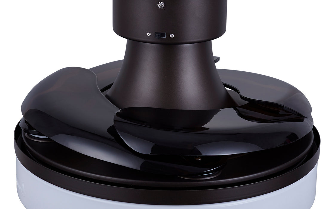 Beacon Lighting 21066601 36``Ceiling Fan, Oil Rubbed Bronze