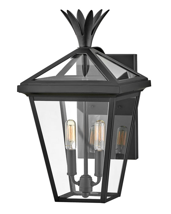 Hinkley 26094BK LED Wall Mount, Black
