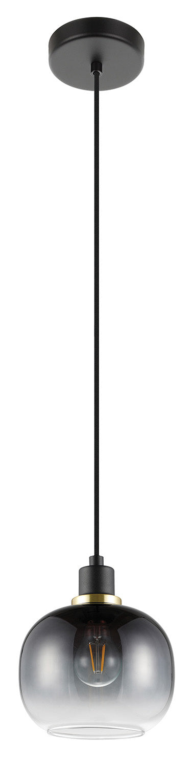 Eglo USA 99616A One Light Mini Pendant, Structured Black