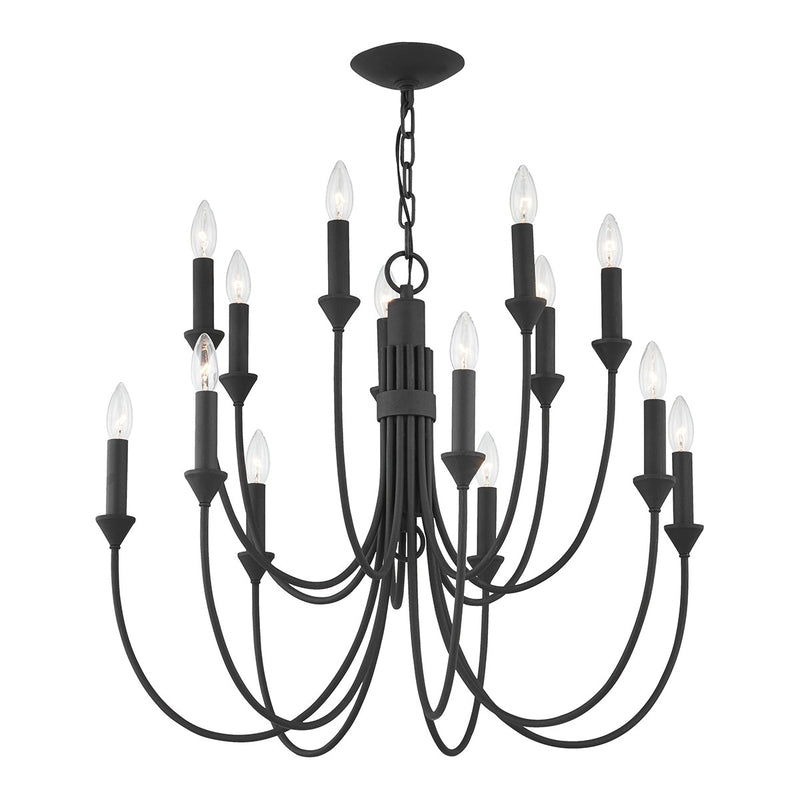 Troy Lighting F1014-FOR 14 Light Chandelier, Forged Iron