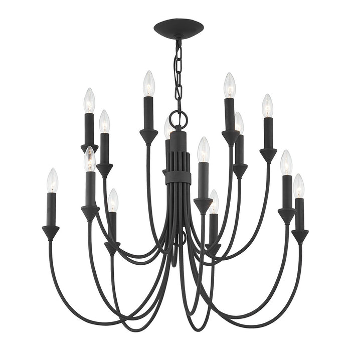 Troy Lighting F1014-FOR 14 Light Chandelier, Forged Iron