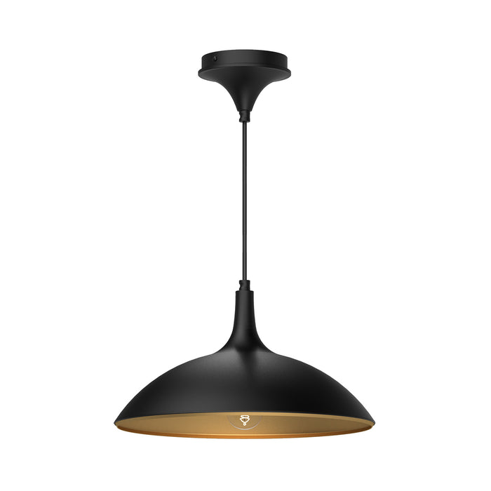 Alora PD627914MB One Light Pendant, Matte Black