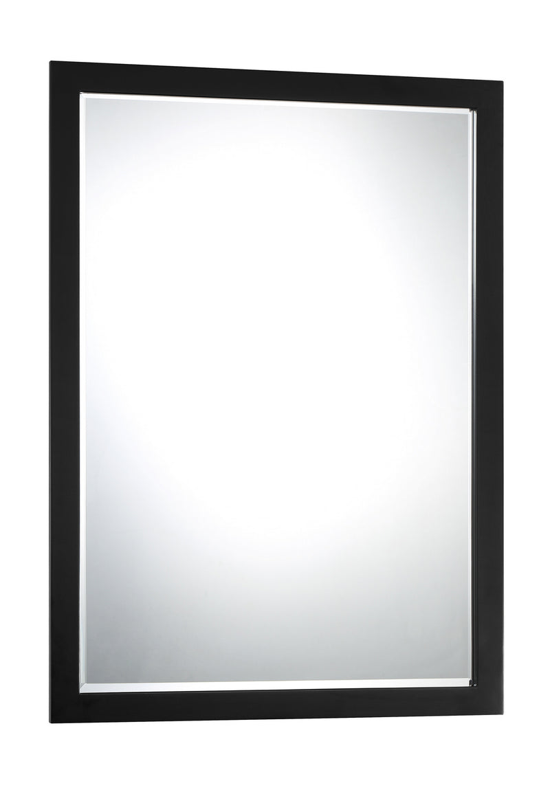 Minka-Lavery 1430-66A Mirror, Coal