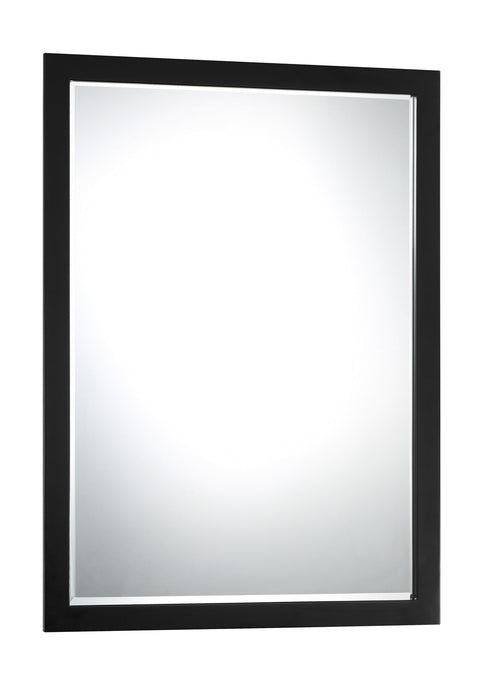 Minka-Lavery 1430-66A Mirror, Coal