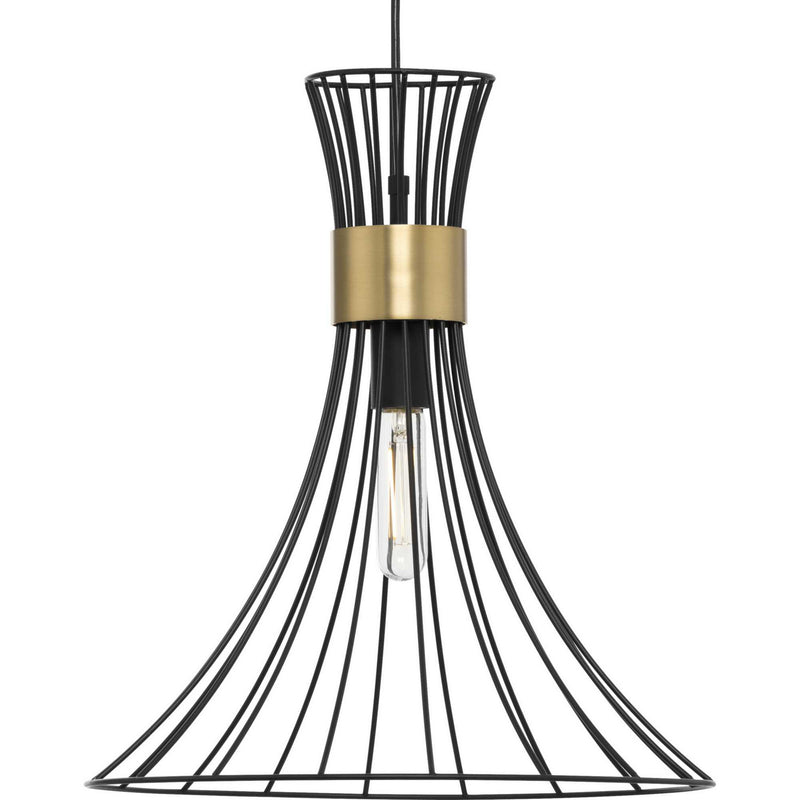 Progress Lighting P500365-31M One Light Pendant, Matte Black