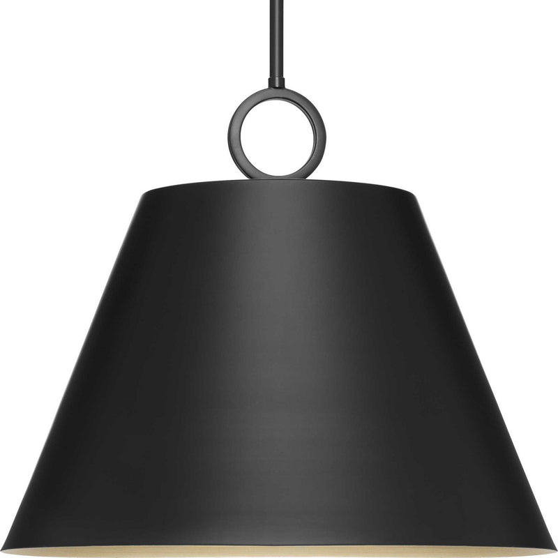 Progress Lighting P500368-31M Three Light Pendant, Matte Black