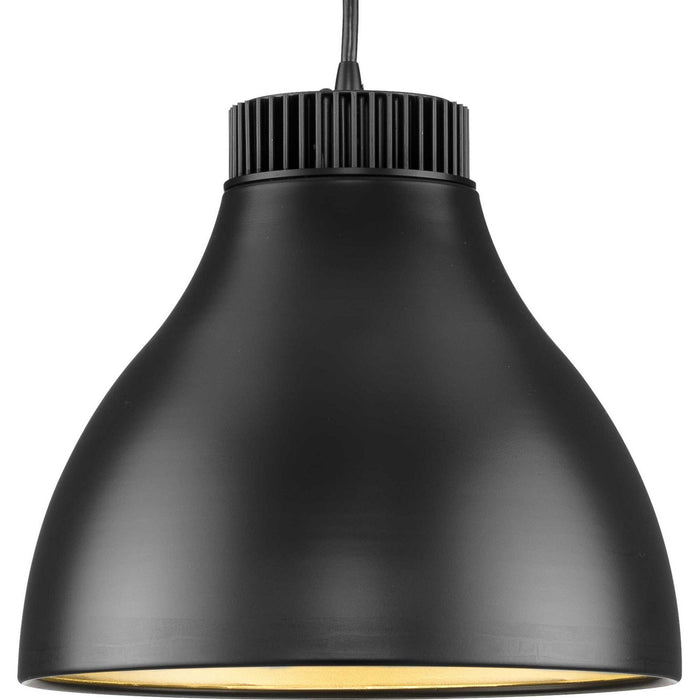 Progress Lighting P500372-31M-30 LED Pendant, Matte Black