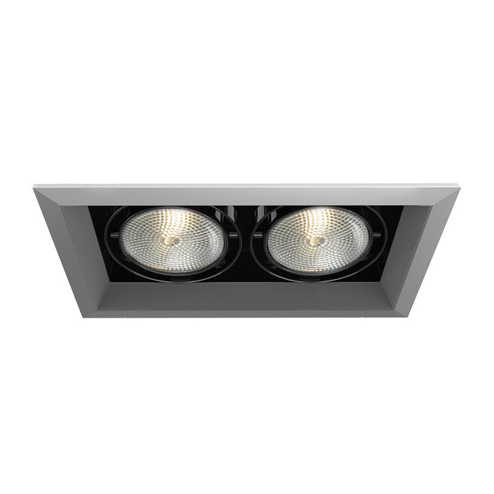 Eurofase TE132-0N Recessed, Platinum
