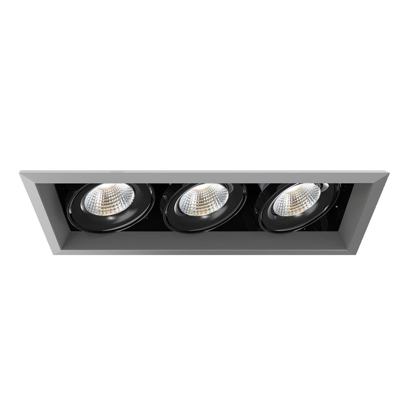 Eurofase TE133LED-30-2-0N LED Recessed, Platinum
