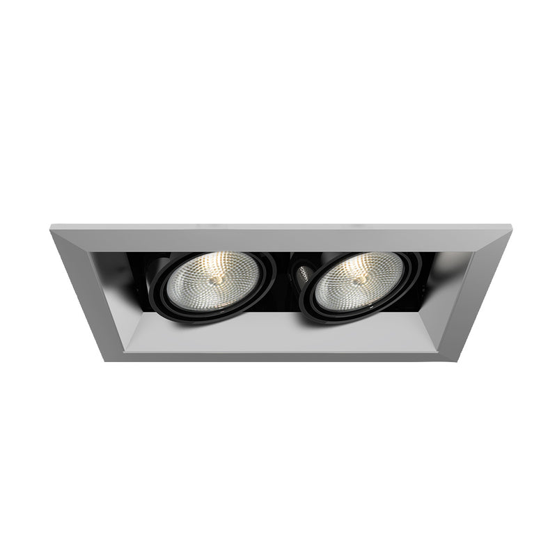Eurofase TE162-0N Recessed, Platinum