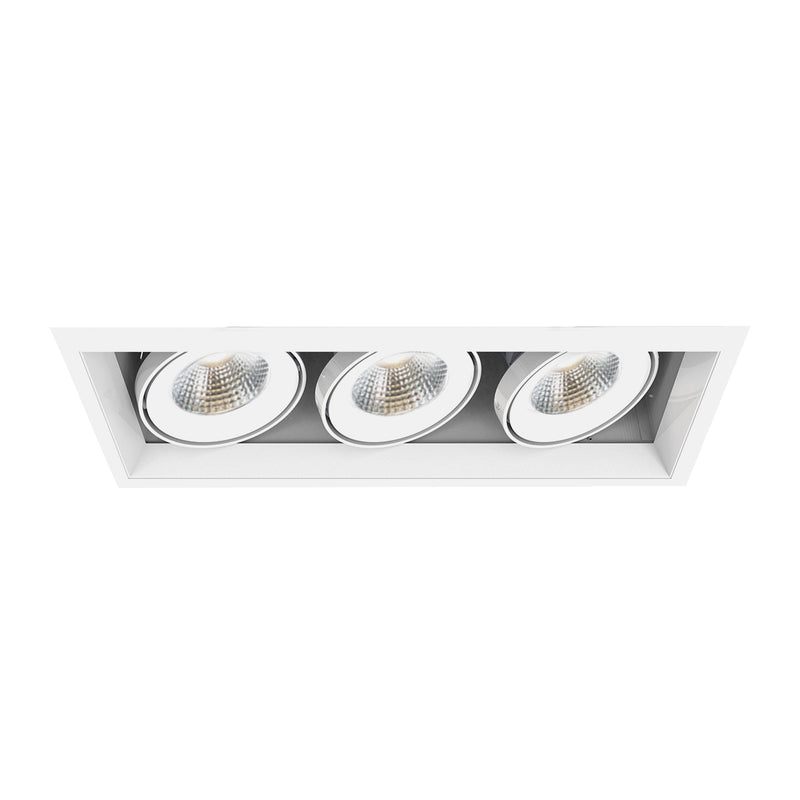Eurofase TE163LED-30-2-22 LED Recessed, White
