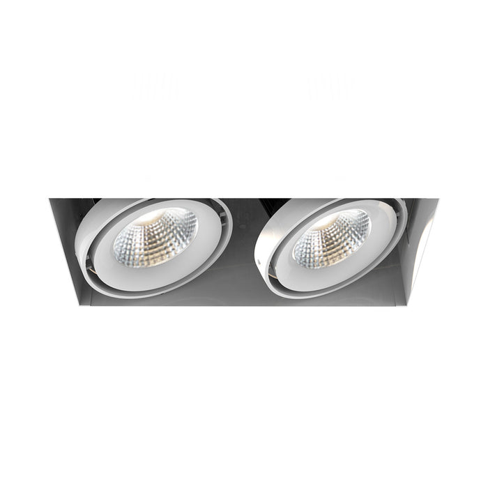 Eurofase TE222LED-30-4-02 LED Recessed, White