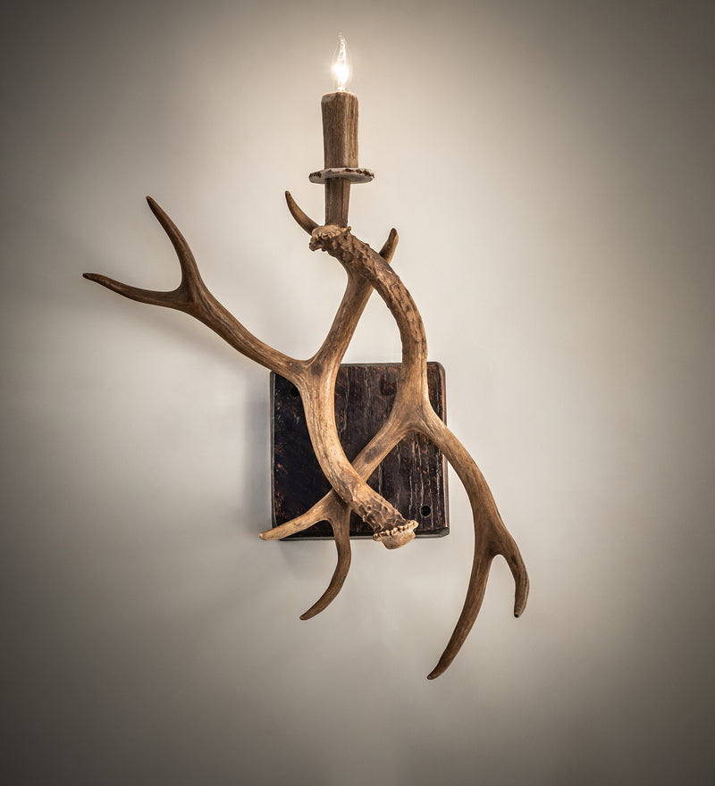 Meyda Tiffany 247849 One Light Wall Sconce, Natural Antler