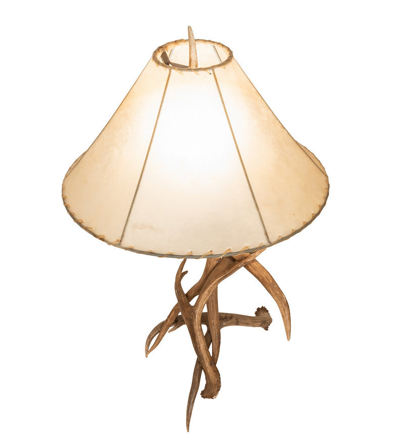 Meyda Tiffany 249163 One Light Table Lamp