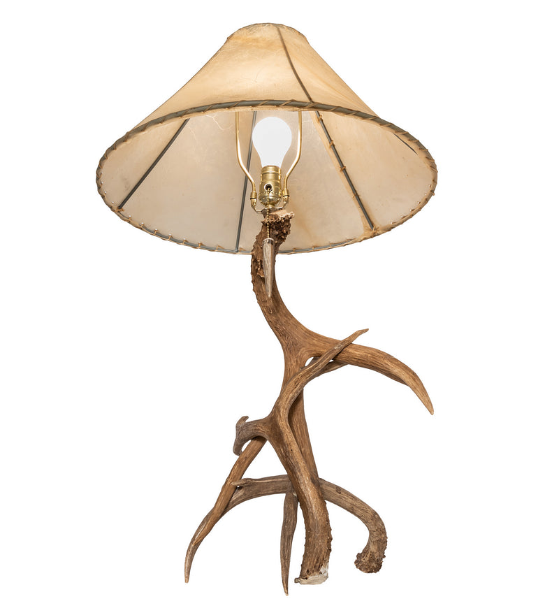 Meyda Tiffany 249163 One Light Table Lamp