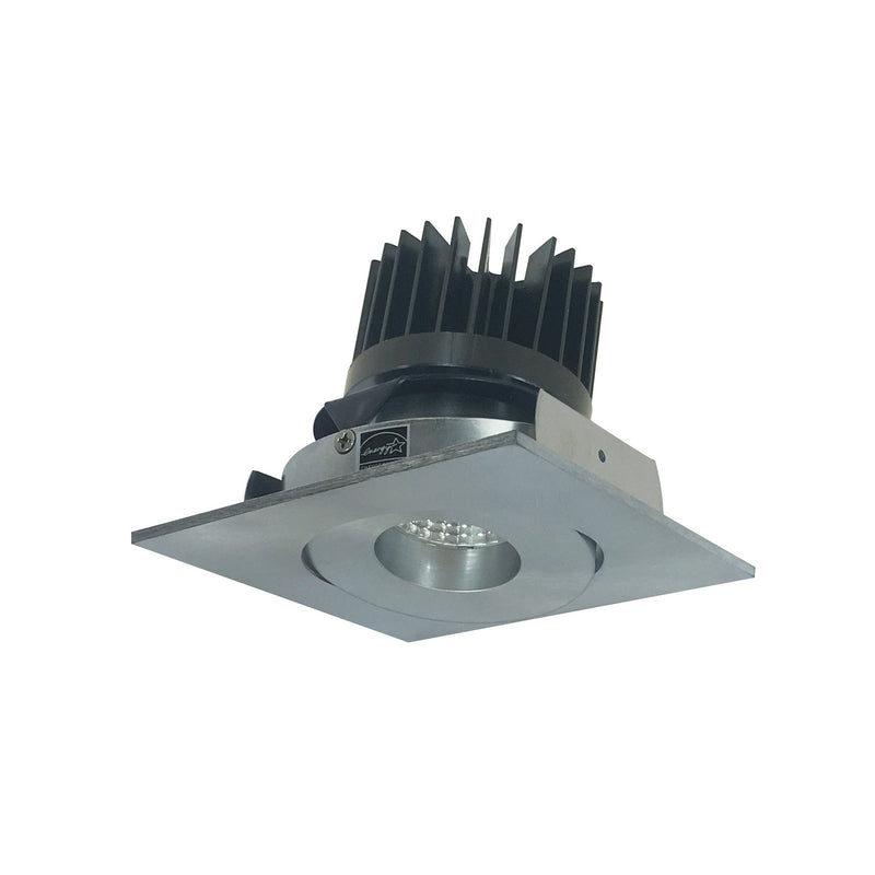Nora Lighting NIO-4SG30XNN/HL Adjustable Trim, Natural Metal